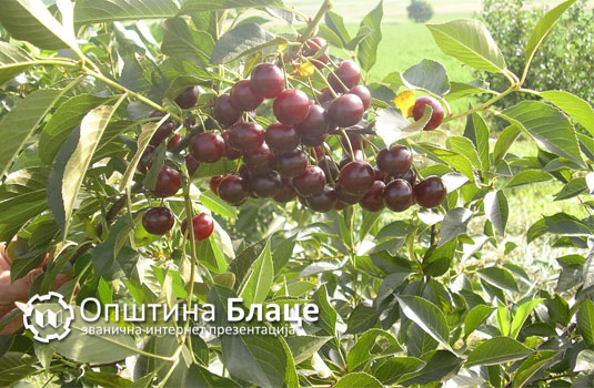 oblacina1