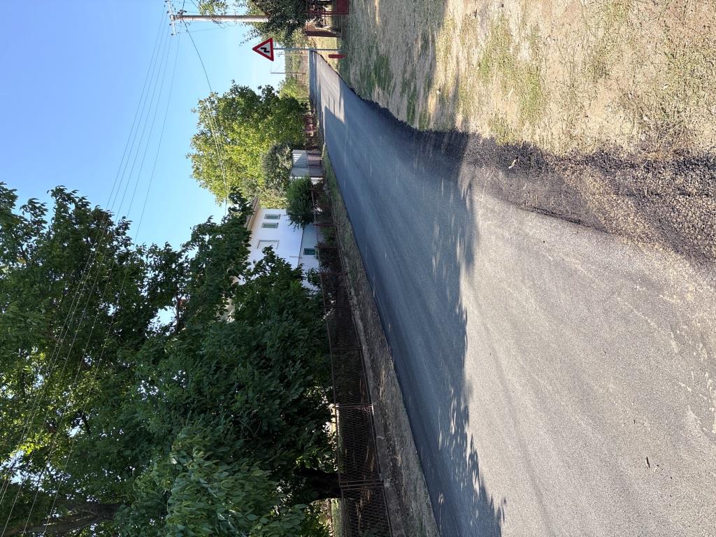IMG 7755