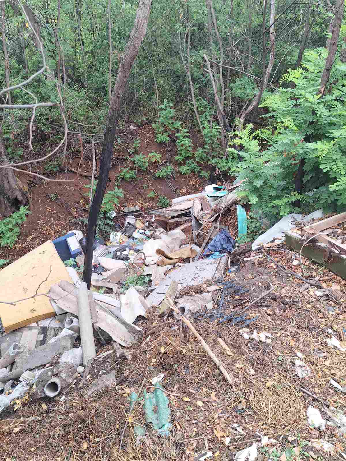 viber image 2025 09 02 13 42 23 864