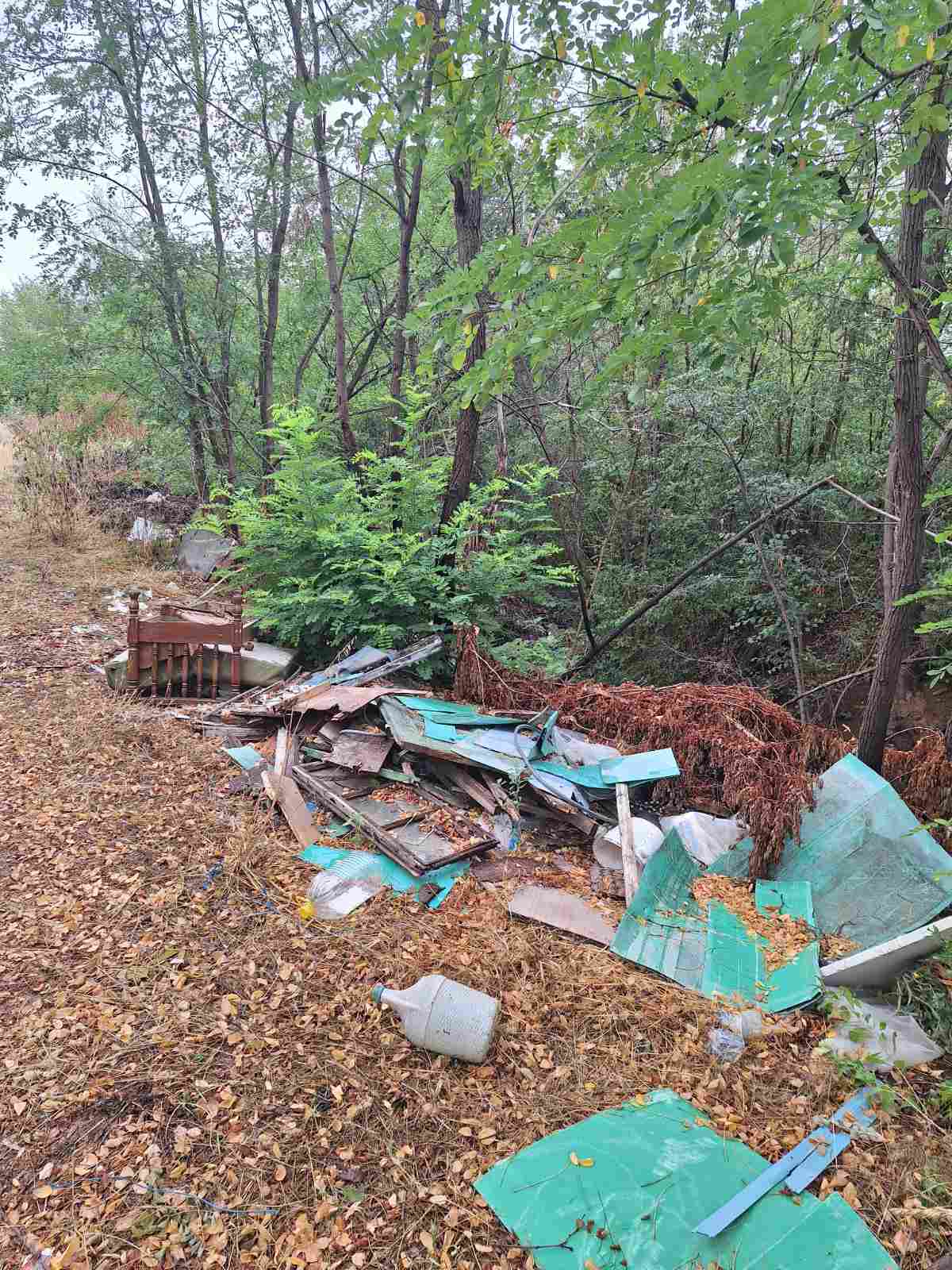 viber image 2025 09 02 13 44 49 062