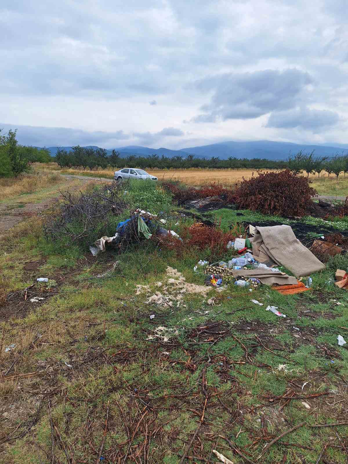 viber image 2025 09 02 13 45 07 440