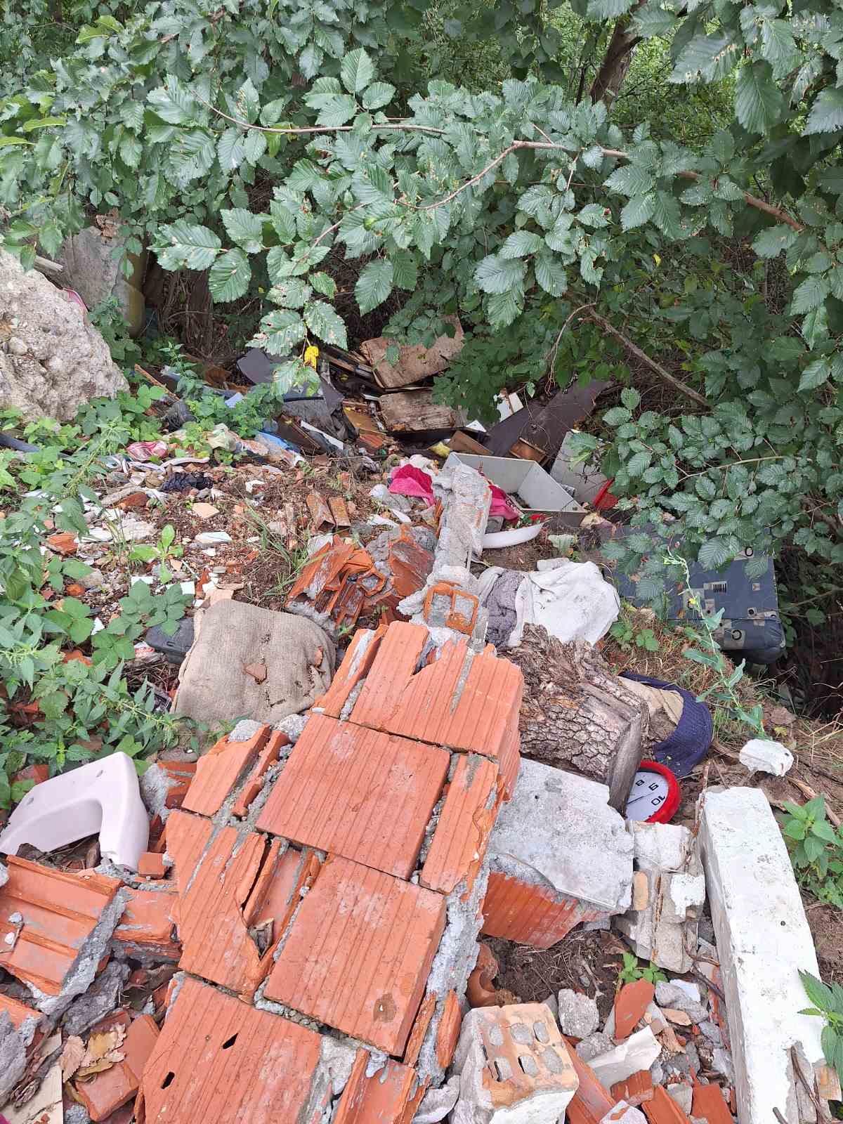 viber image 2025 09 02 13 45 19 927