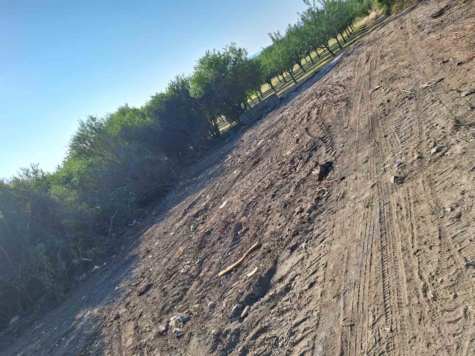 viber image 2025 09 02 13 46 05 569