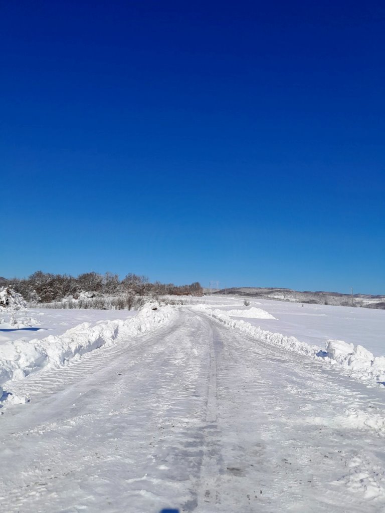 viber image 2026 01 12 11 30 47 155